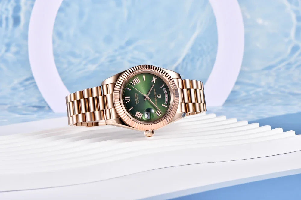 PAGANI DESIGN DD36 Men's Watches