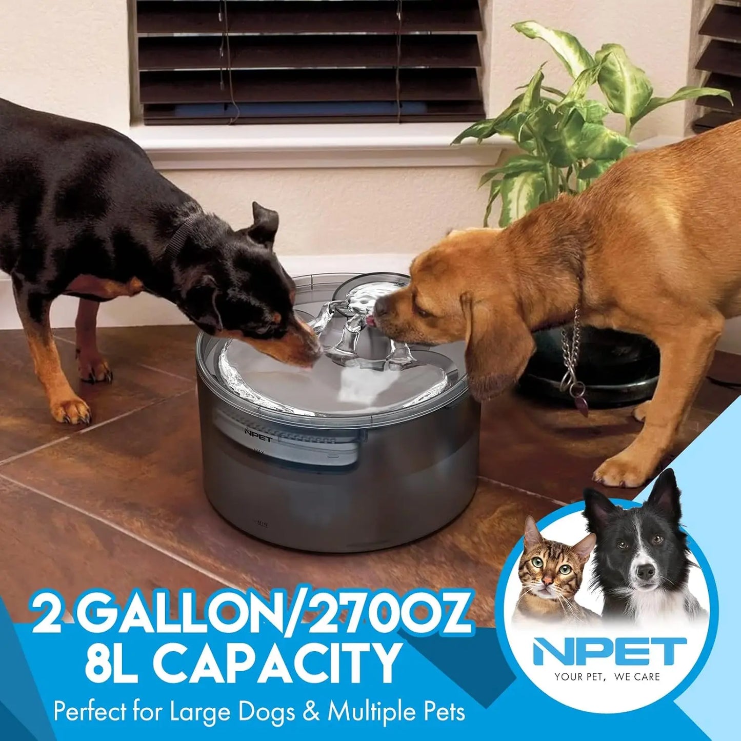 NPET DF30 Dog Water Fountain, 2 Gallon