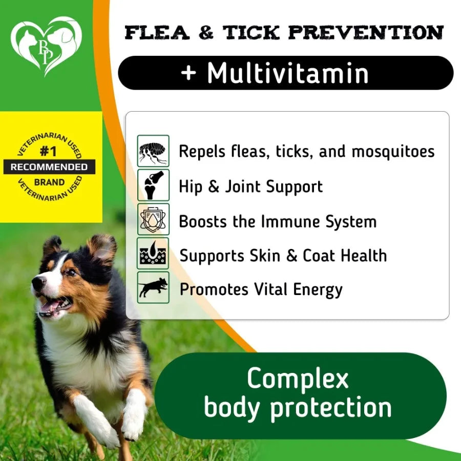 Flea and Tick Prevention
