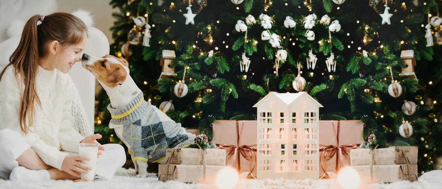 NPET DF30 Dog Water Fountain, 2 Gallon