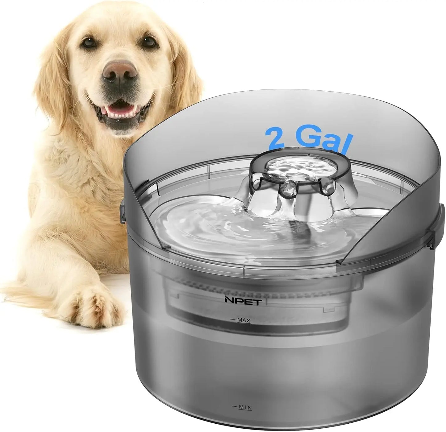 NPET DF30 Dog Water Fountain, 2 Gallon
