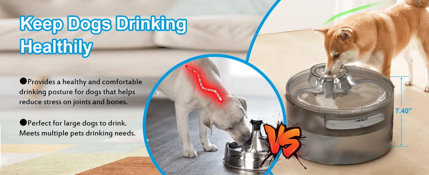 NPET DF30 Dog Water Fountain, 2 Gallon