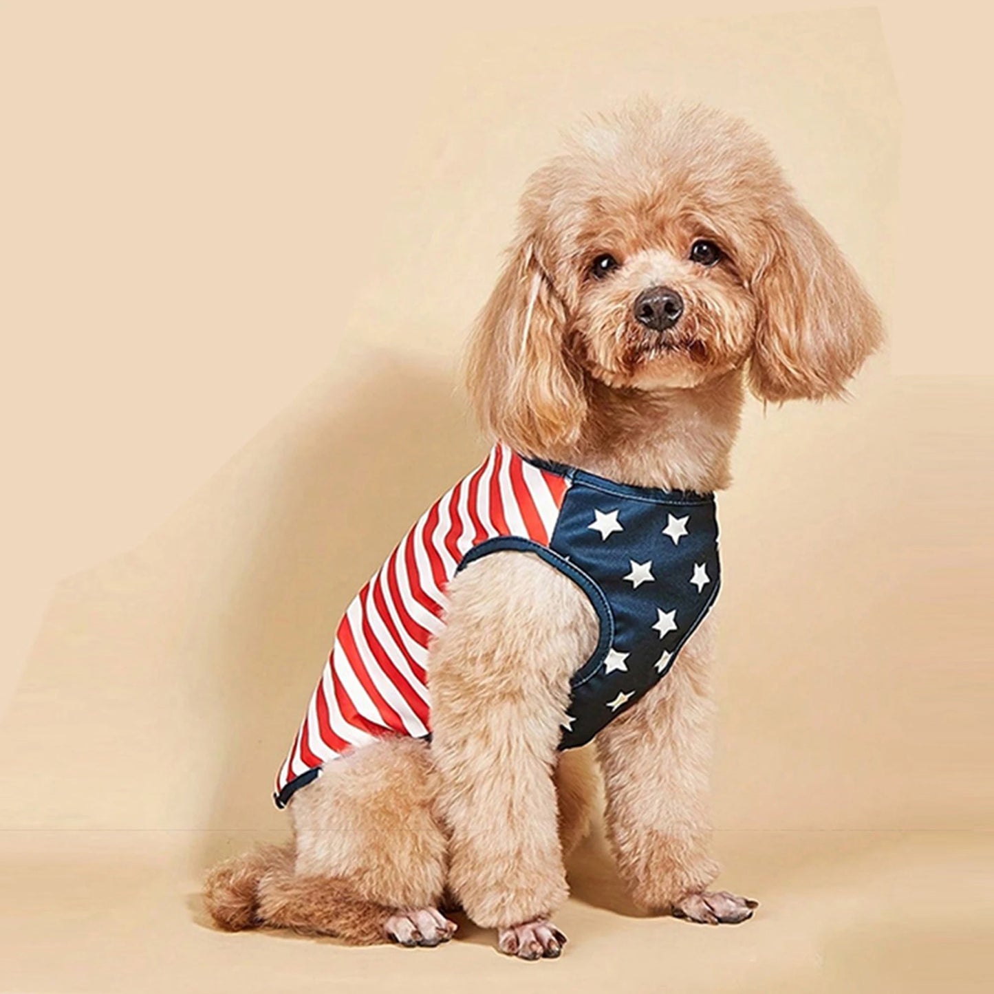 American Flag Patriotic Dog Bandana Scarf Set