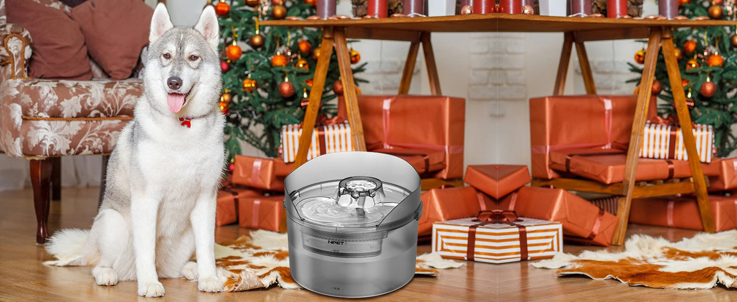 NPET DF30 Dog Water Fountain, 2 Gallon