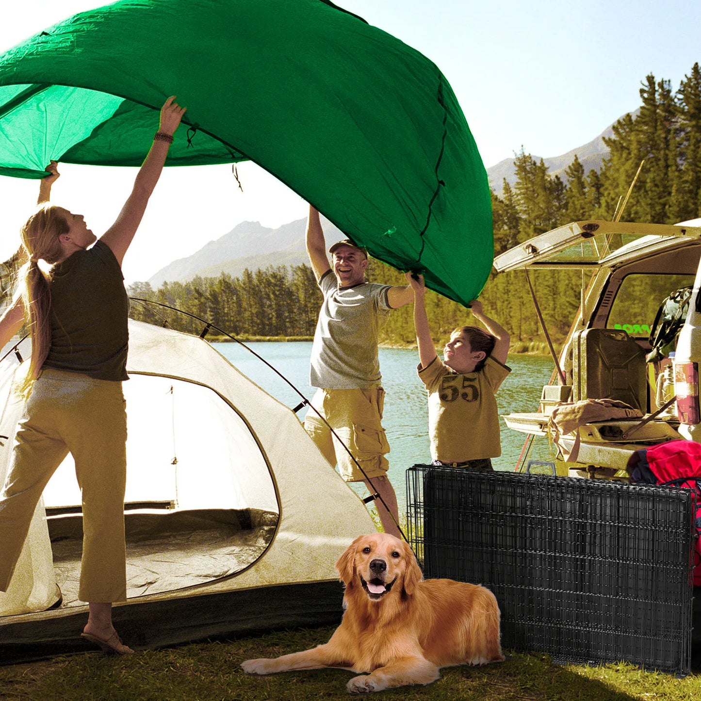 Double Door Folding Metal Wire Dog Cage