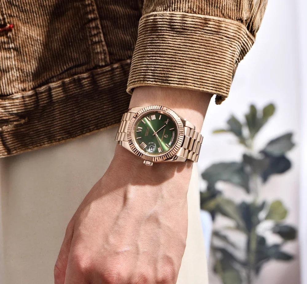 PAGANI DESIGN DD36 Men's Watches